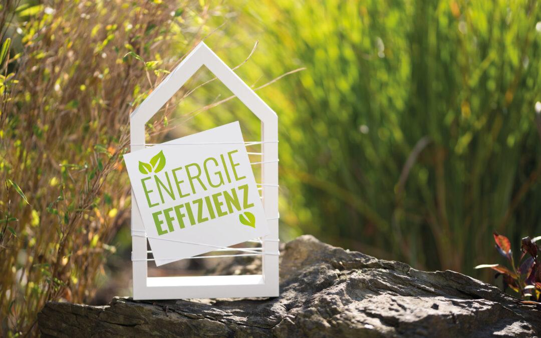 NACHLESE: Aus­wir­kun­gen des Ener­gie­ef­fi­zi­enz­ge­set­zes und der VALE­RI-Norm für Unternehmen